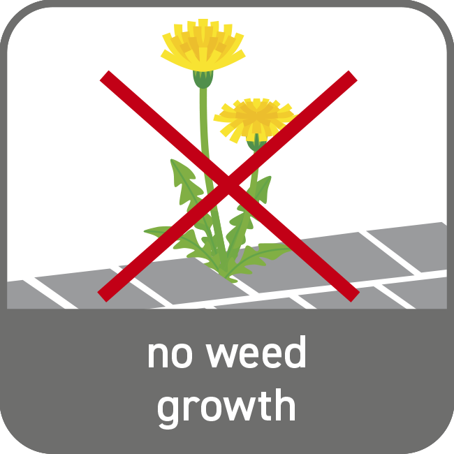 No weed growth
